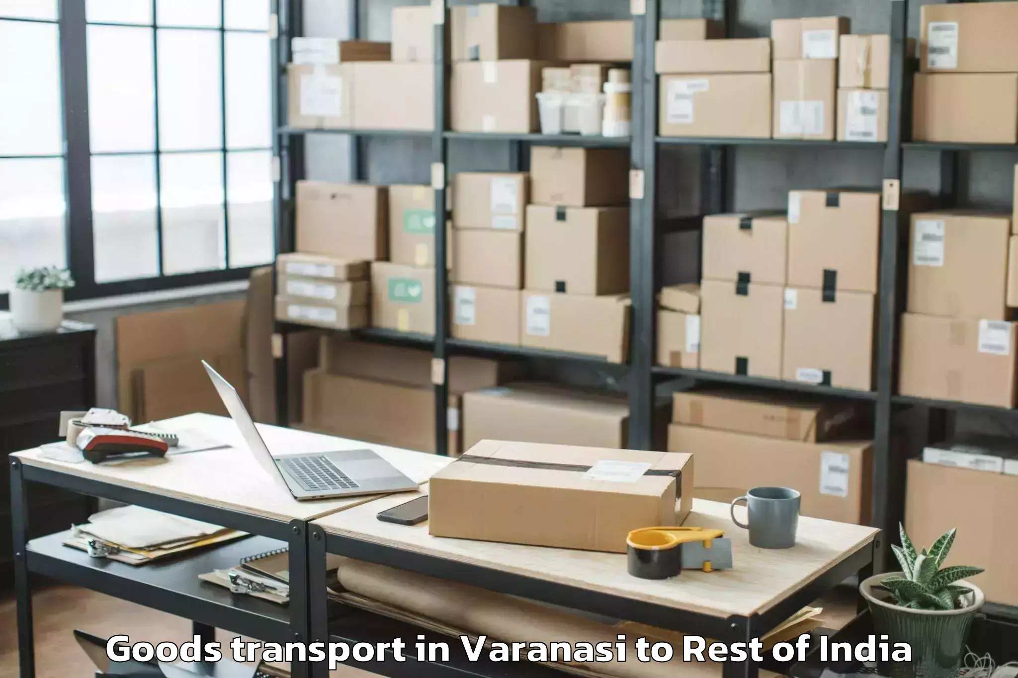 Trusted Varanasi to Ozhukarai Goods Transport